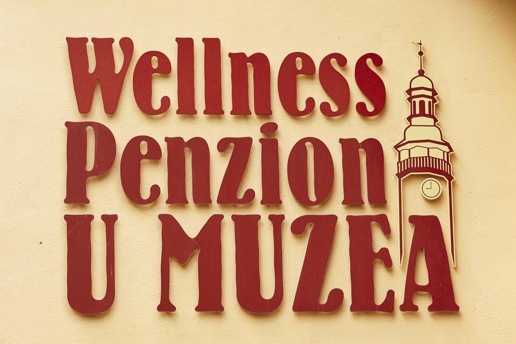 Wellness Penzion U Muzea Liberec Esterno foto